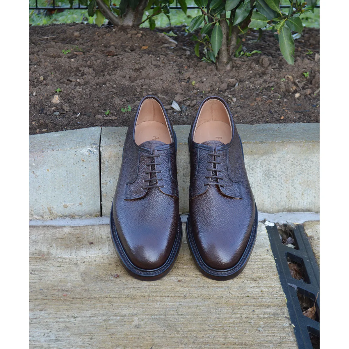 Paul Sargent Shoes - PYTCHLEY DARK BROWN